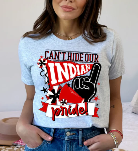 Can't Hide Our Indian Pride T-Shirt